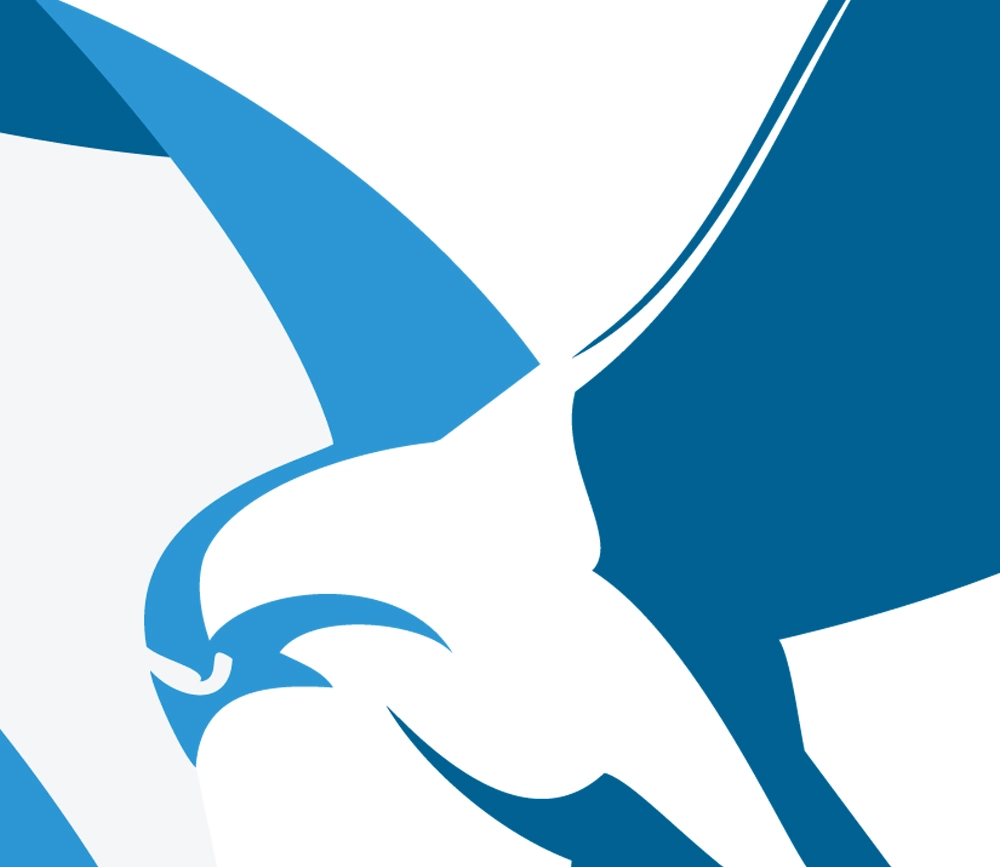 Visual of the bird from the JOHCM logo