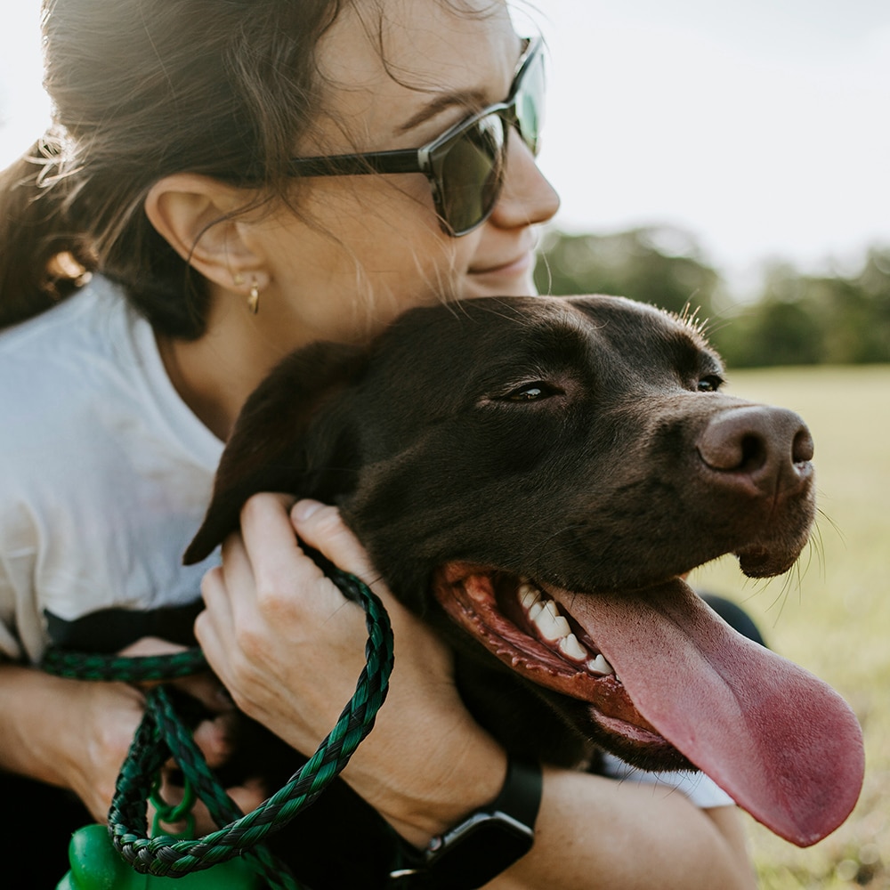 Dog with driver handler